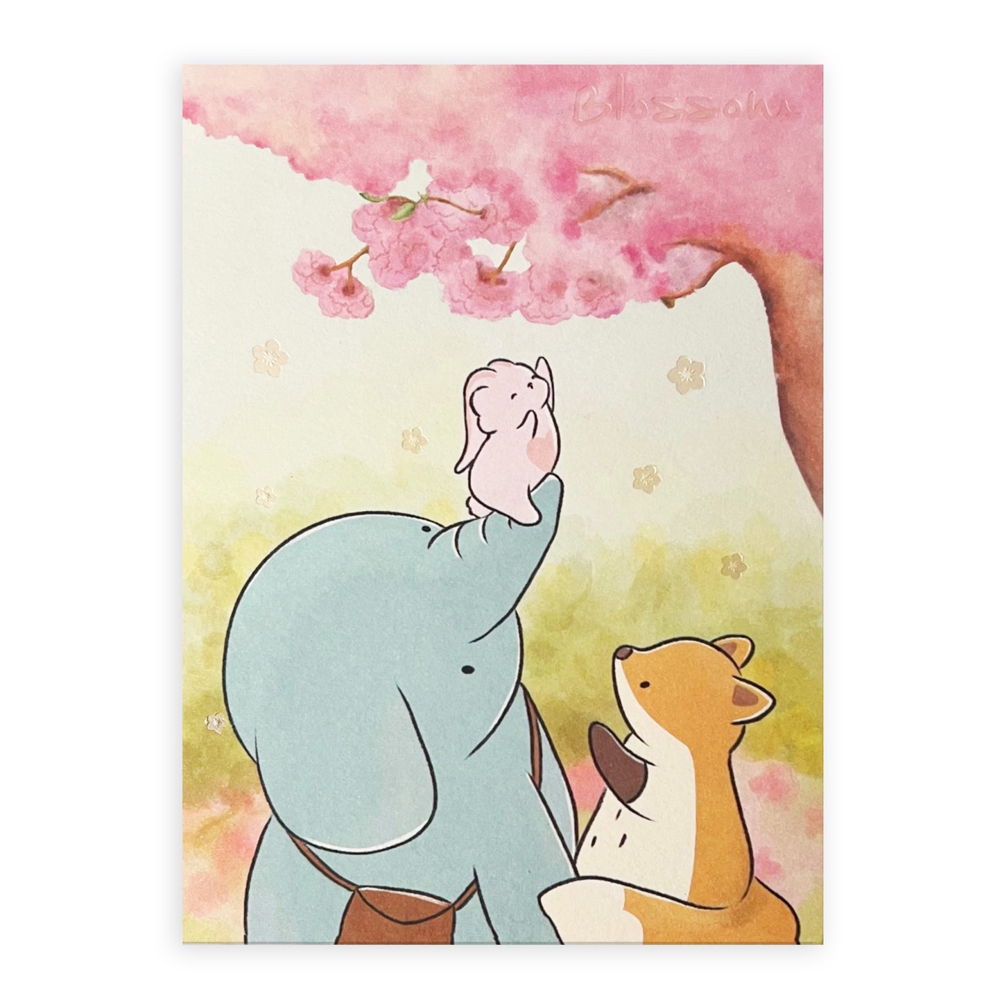 'Cherry Blossom' Postcard